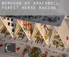 Bracknell Forest (Borough)  horse racing