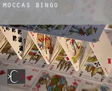 Moccas  bingo