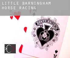 Little Barningham  horse racing