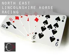 North East Lincolnshire  horse racing
