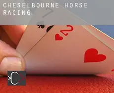 Cheselbourne  horse racing