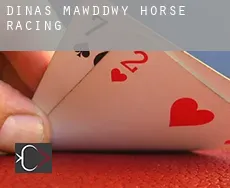 Dinas Mawddwy  horse racing