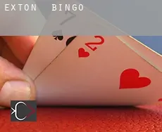 Exton  bingo