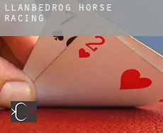 Llanbedrog  horse racing