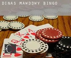 Dinas Mawddwy  bingo