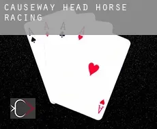 Causeway Head  horse racing