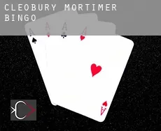 Cleobury Mortimer  bingo