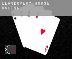 Llandovery  horse racing