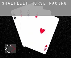 Shalfleet  horse racing