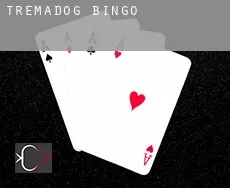 Tremadog  bingo