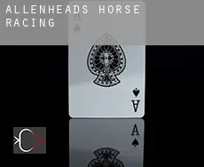 Allenheads  horse racing