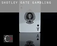 Shotley Gate  gambling