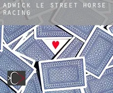 Adwick le Street  horse racing