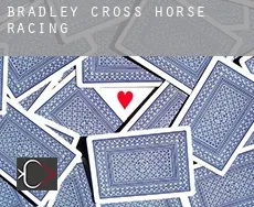 Bradley Cross  horse racing
