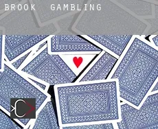 Brook  gambling