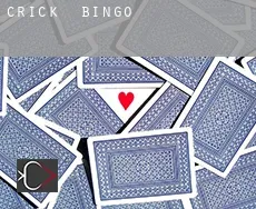 Crick  bingo
