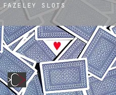 Fazeley  slots