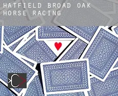Hatfield Broad Oak  horse racing