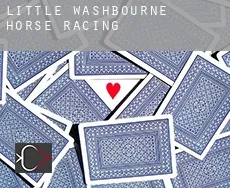 Little Washbourne  horse racing