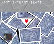 Nant Gwynant  slots
