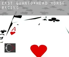 East Quantoxhead  horse racing
