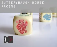 Butteryhaugh  horse racing