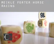 Meikle Forter  horse racing