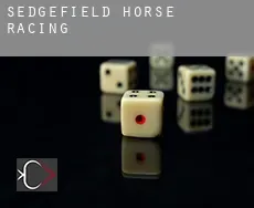 Sedgefield  horse racing