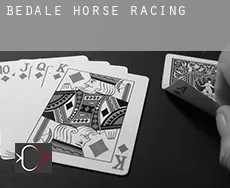 Bedale  horse racing