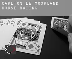 Carlton le Moorland  horse racing