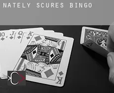 Nately Scures  bingo