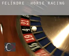 Felindre  horse racing