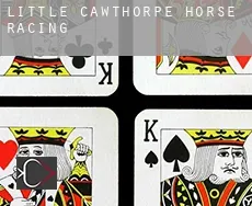 Little Cawthorpe  horse racing