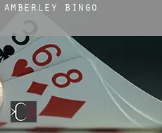 Amberley  bingo