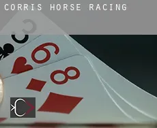 Corris  horse racing