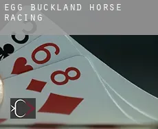 Egg Buckland  horse racing