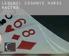 Leochel-Cushnie  horse racing