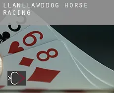 Llanllawddog  horse racing