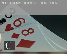 Mileham  horse racing