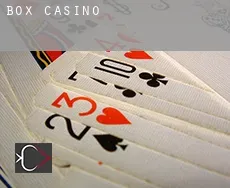 Box casino