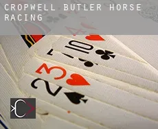 Cropwell Butler  horse racing