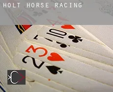 Holt  horse racing