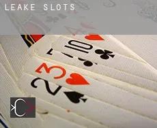 Leake slots
