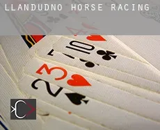 Llandudno  horse racing