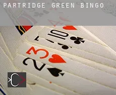 Partridge Green  bingo