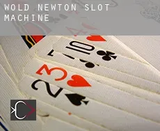Wold Newton  slot machine