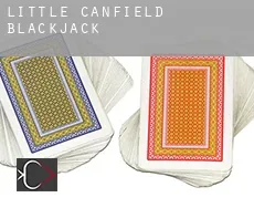 Little Canfield  blackjack