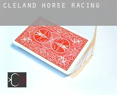 Cleland  horse racing