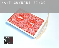 Nant Gwynant  bingo