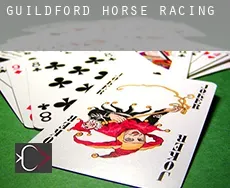 Guildford  horse racing